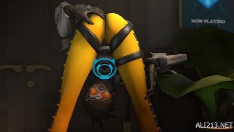 已验证产出 已验证产出